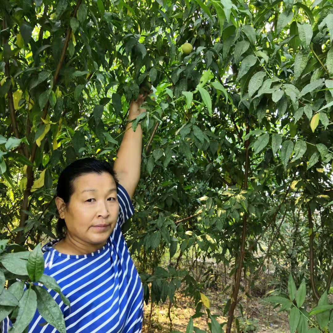 微信圖片_20190907223235.jpg 微信圖片_20190907223235.jpg